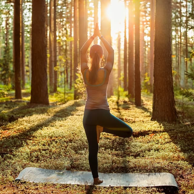 Flujo De Yoga: Música De Guitarra Armoniosa - Mentes Espirituales