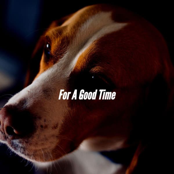 For A Good Time - Nederlands Muziek voor Honden