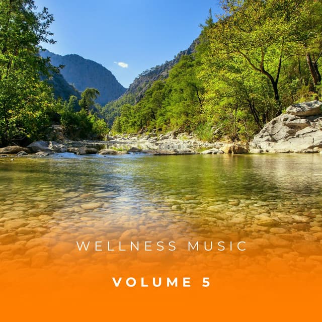 Wellness Music Vol. 5 - Soothing Sounds