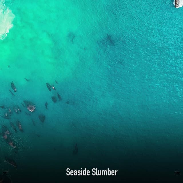 !!!!" Seaside Slumber "!!!! - Ocean Waves
