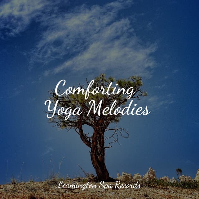 Comforting Yoga Melodies - Lush Rain Creators