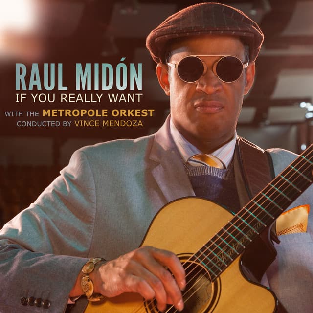 If You Really Want - Raul Midón