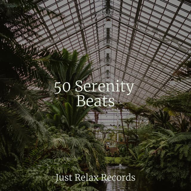 50 Serenity Beats - Musica Relajante
