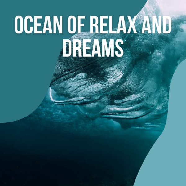 ! ! ! ! ! ! ! ! Ocean of Relax and Dreams vol. 3 - Water Sounds