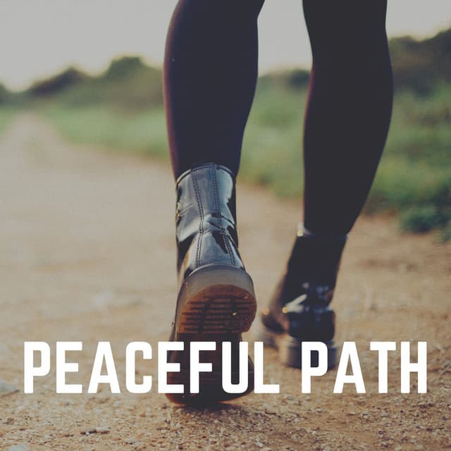 Peaceful Path - New Age Anti Stress Universe