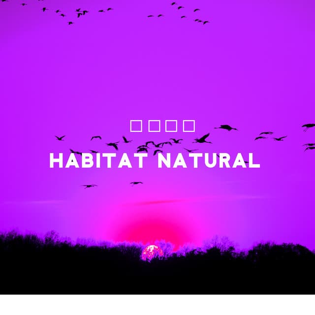 Habitat natural: Relaxamento completo com os sons da natureza - Academia Sons da Natureza
