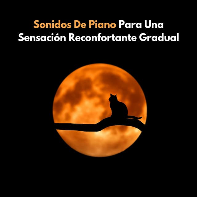 Sonidos De Piano Para Una Sensación Reconfortante Gradual - Colección Piano Jazz