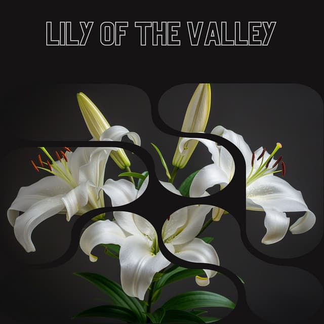 Lily of the Valley - Floral Health - HerBaLance