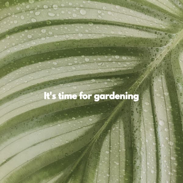 It's time for gardening - Café Vintage