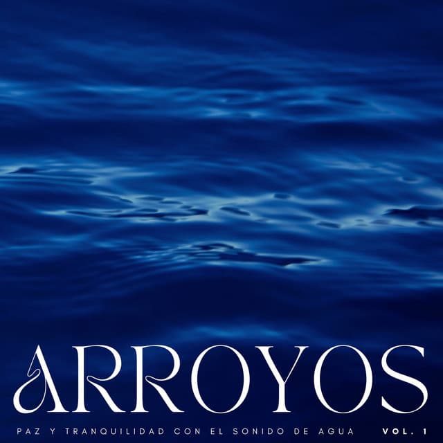 Arroyos: Paz Y Tranquilidad Con El Sonido De Agua Vol. 1 - Ruido de agua