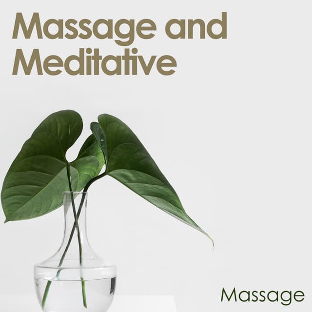 Massage and Meditative - Massage