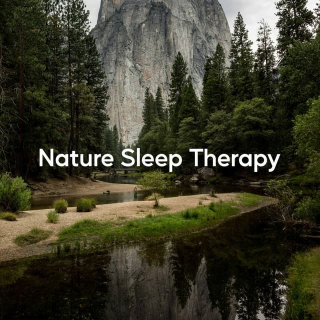 Nature Sleep Therapy - Nature Sounds to Relax