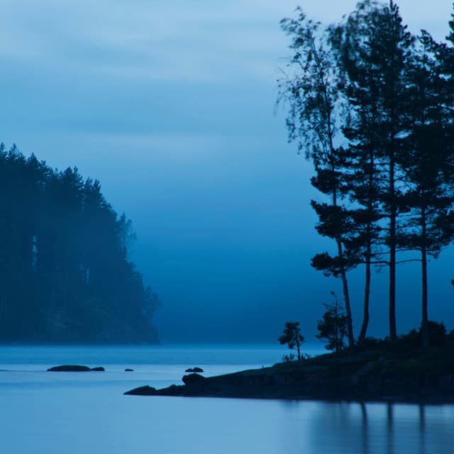 Evening Peace: Gentle Music for Nighttime Serenity - Binaural Best Organic