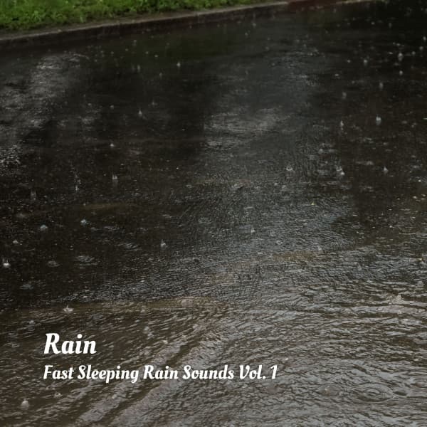 Rain: Fast Sleeping Rain Sounds Vol. 1 - Forest Sounds