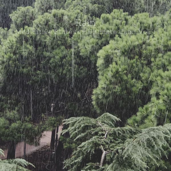 Rain: Meditative State for Ultimate Calm Vol. 1 - Spirit Minds