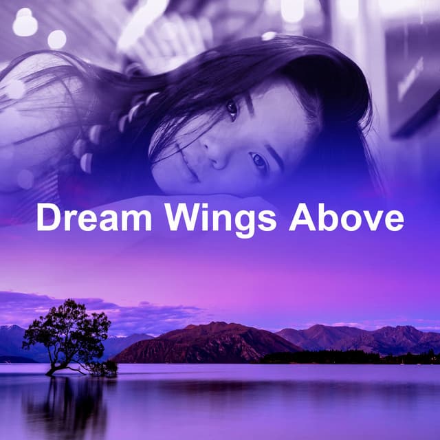 Dream Wings Above - Pure Massage Music