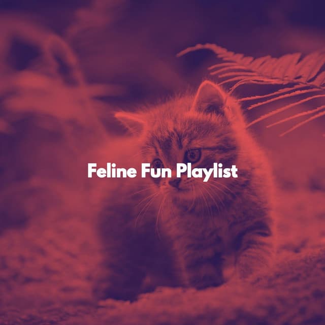 Feline Fun Playlist - For Cats Only