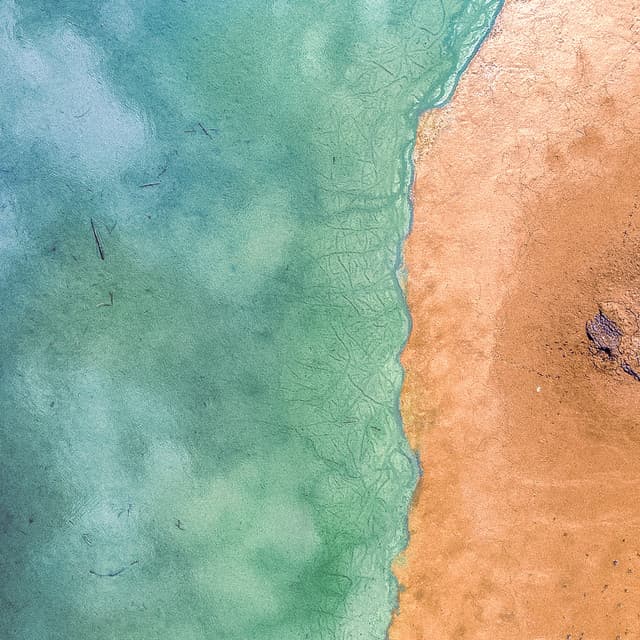 1 Mile Below: Among The Reef - Seascapers