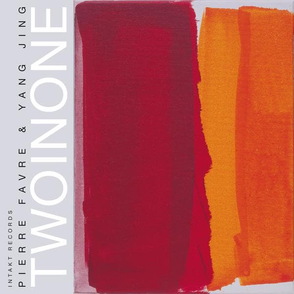 Two in One - Pierre Favre