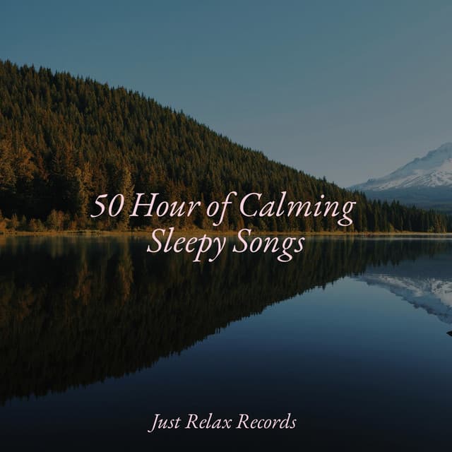 50 Hour of Calming Sleepy Songs - Musica de Relajación Academy