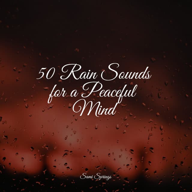 50 Rain Sounds for a Peaceful Mind - Meditação Yoga