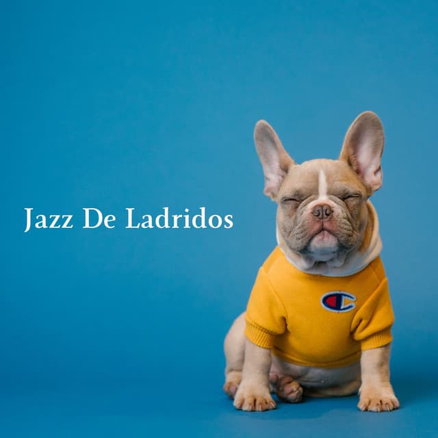 Jazz De Ladridos - Jazz Relajante