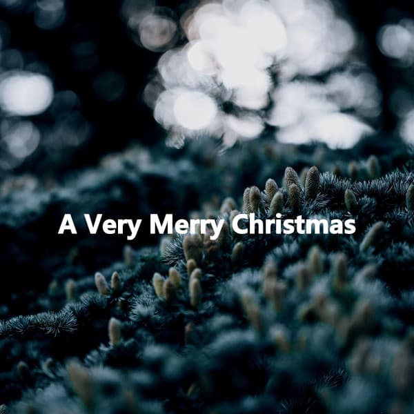 A Very Merry Christmas - Smooth Dinner Jazz Group
