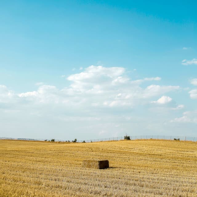 1 Tired Sky: Tracing The Stars - Calm Music