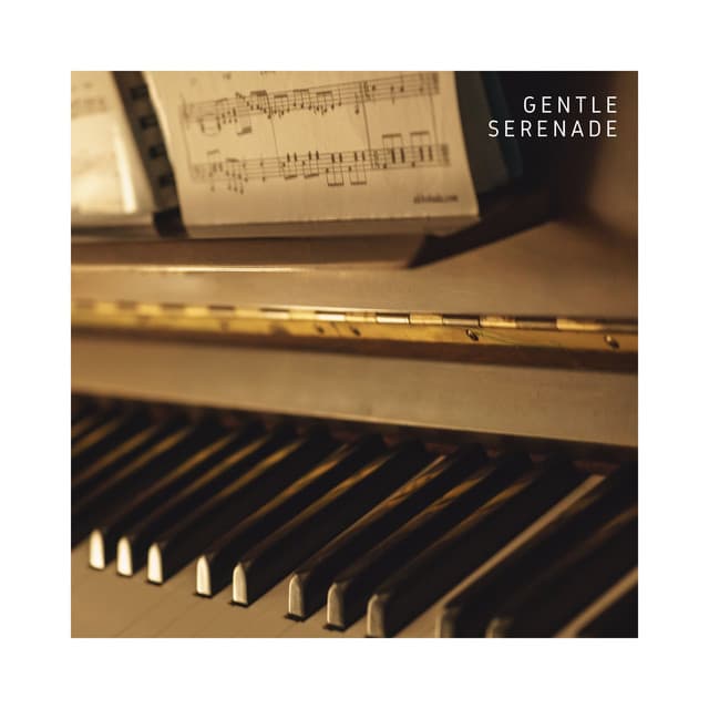 Gentle Serenade: Relaxing Piano Tunes - Pianobar Moods