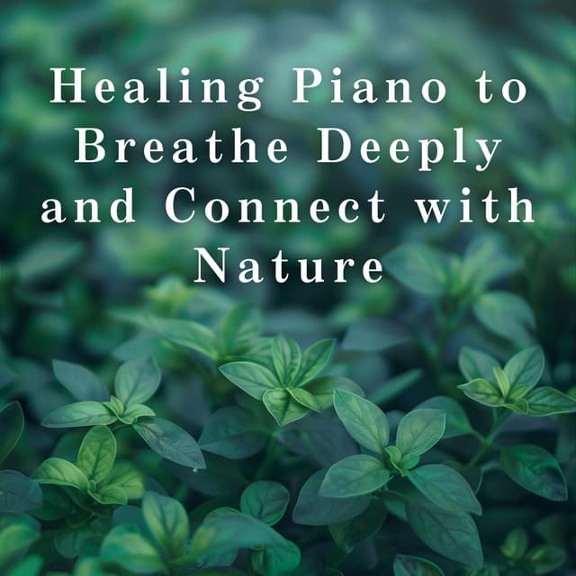 Healing Piano to Breathe Deeply and Connect with Nature - Relaxing BGM Project