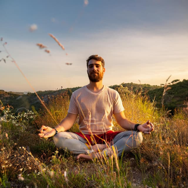 Lofi Tranquilo Para Meditación - 432 Hz Destruye Bloqueos Inconscientes