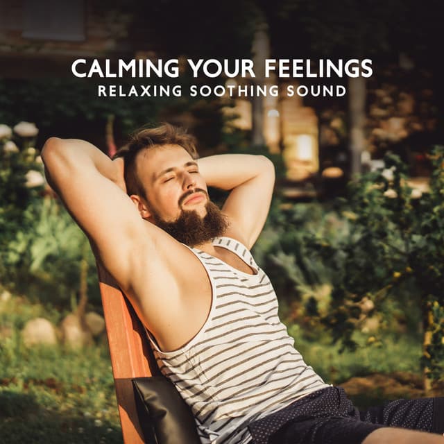 Calming Your Feelings: Relaxing Soothing Sound - 7 Types Of Spirits