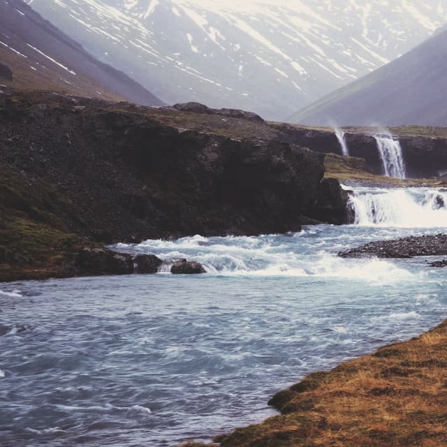 Mental Meadows: Chill Music Water Fields - Música Instrumental Maestro