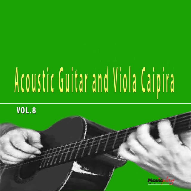 Acoustic Guitar & Viola vol.8 - Paulinho Nogueira