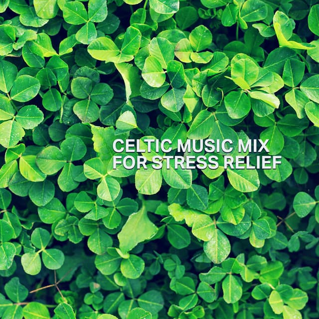 Celtic Music Mix for Stress Relief: Clear Your Mind, Easy Relaxation and Meditation for Peace - Zen Soothing Sounds of Nature