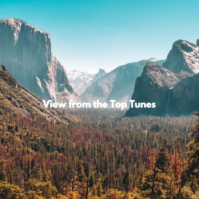 View from the Top Tunes - Música para Cafeterías