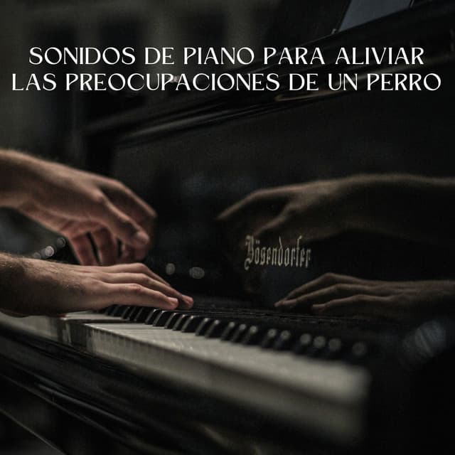 Sonidos De Piano Para Aliviar Las Preocupaciones De Un Perro - Lista de reproducción de piano clásico