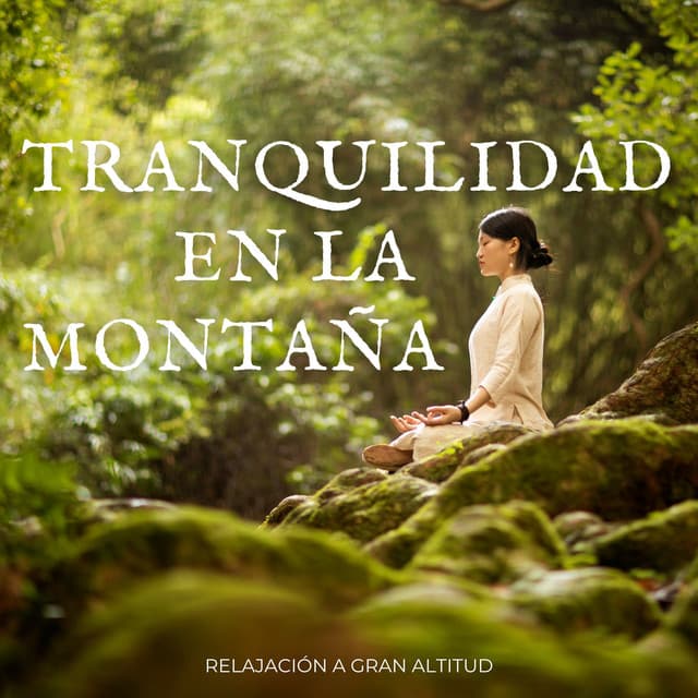 Tranquilidad En La Montaña: Relajación A Gran Altitud - Grabaciones del hombre de la montaña