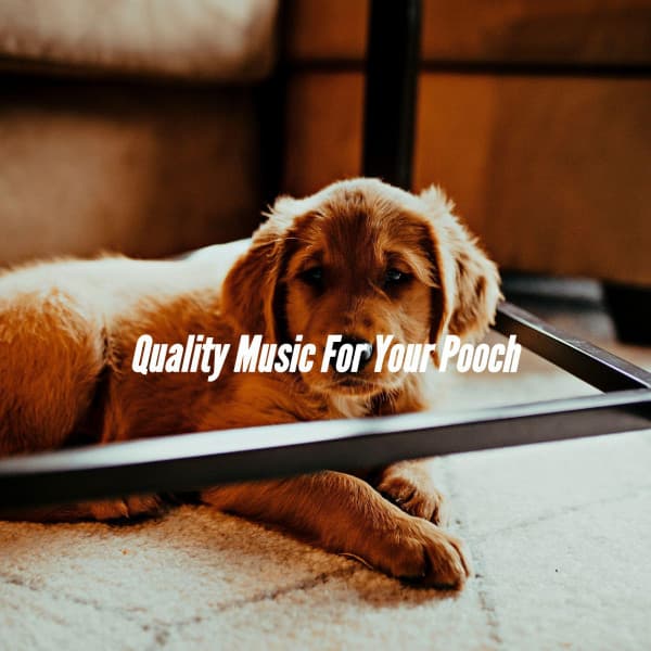 Quality Music For Your Pooch - Doggy Music Radio