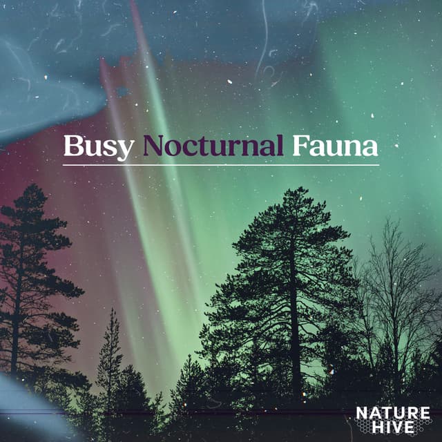 Busy Nocturnal Fauna - Nature Hive