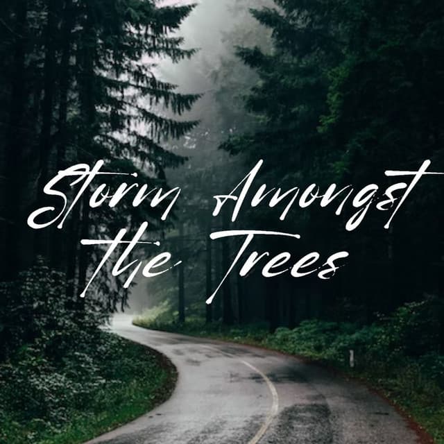 Storm Amongst the Trees - Asian Spa Music