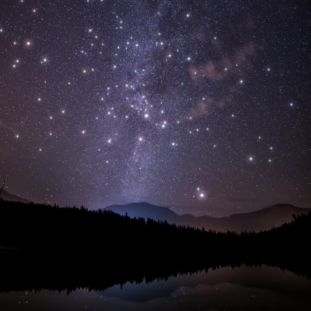 Sounds of Nature | Calm Music | Meditation Focus - Relaxed Minds