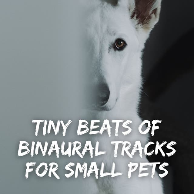 Tiny Beats of Binaural Tracks for Small Pets - Binaural Beats MT