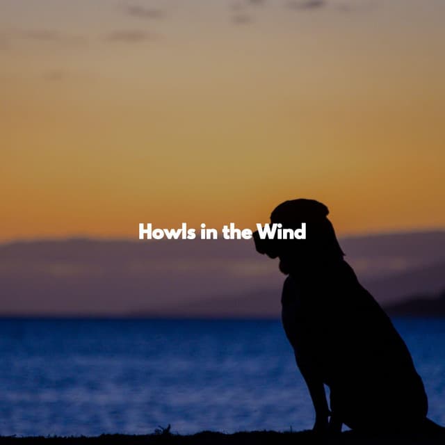 Howls in the Wind - Trabajar desde Casa Clásicos