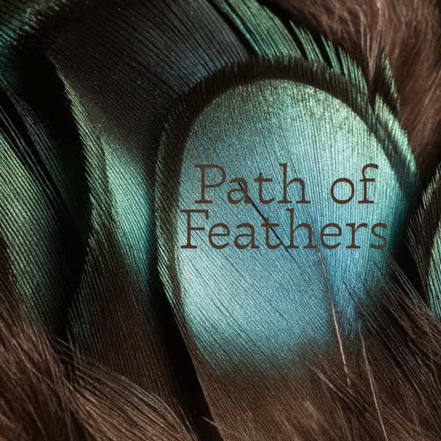 Path of Feathers - Jonathan Segue