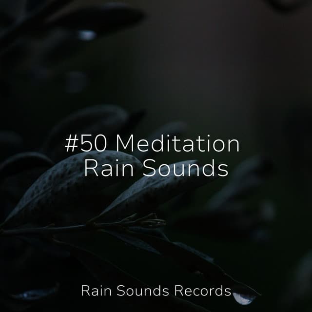 #50 Meditation Rain Sounds - Yoga Music