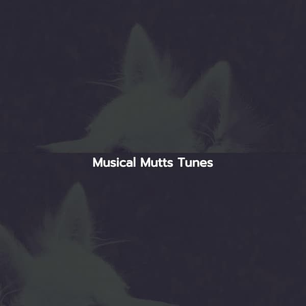 Musical Mutts Tunes - Lounge Playlist Luxury