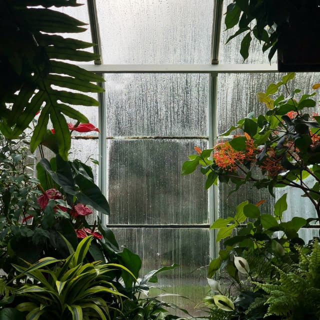 Meditation Sounds | Spa & Serenity - Sleep Music System