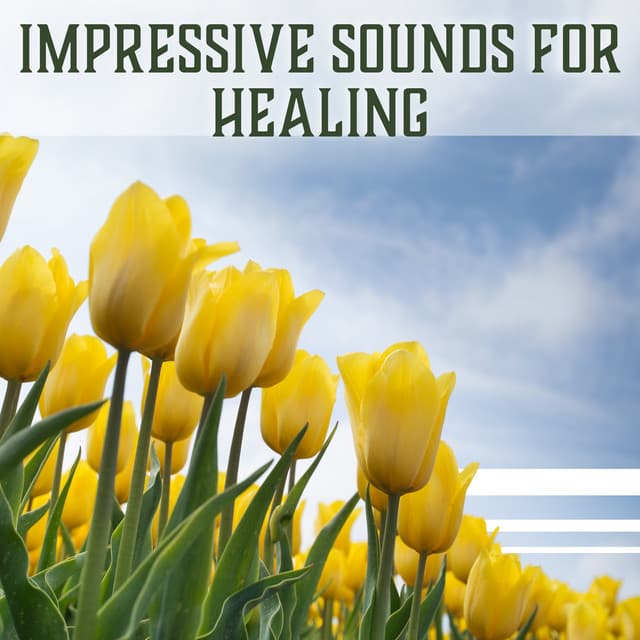 Impressive Sounds for Healing: Deep & Pure Relaxation Yoga Therapy, Mindfulness Exercises, Self Awareness and Inner Peace - Sanctuary of Silence