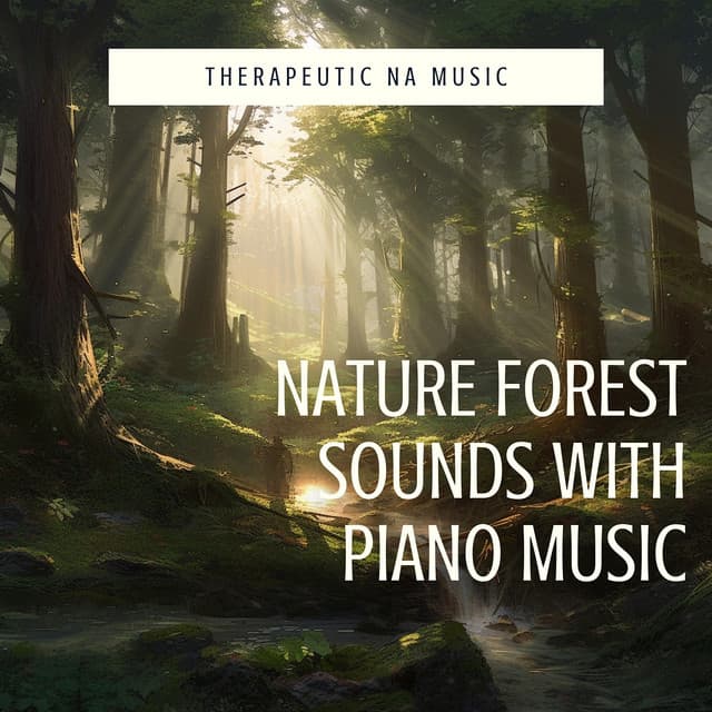 Nature Forest Sounds with Piano Music - Therapeutic NA Music